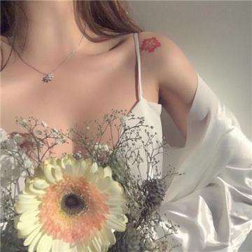 澳门王中王100%的资料下载手机版